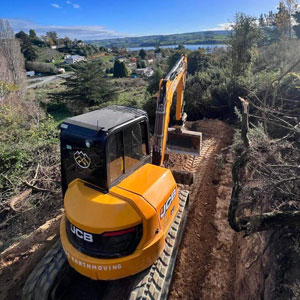 Vegetation clearance
